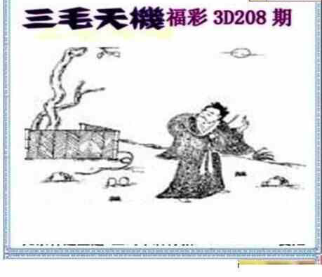 24208期: 三毛3D精品图谜