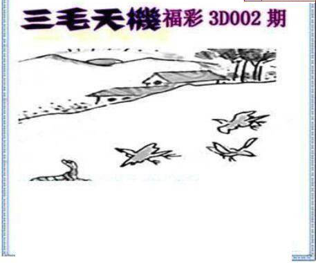 25002期: 三毛3D精品图谜