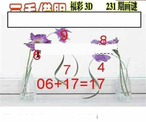 24231期: 三毛3D精品图谜