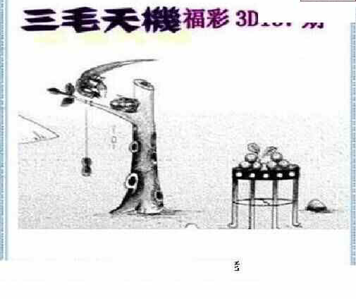 24137期: 三毛3D精品图谜