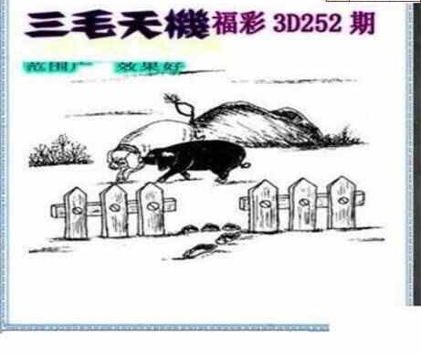 24252期: 三毛3D精品图谜