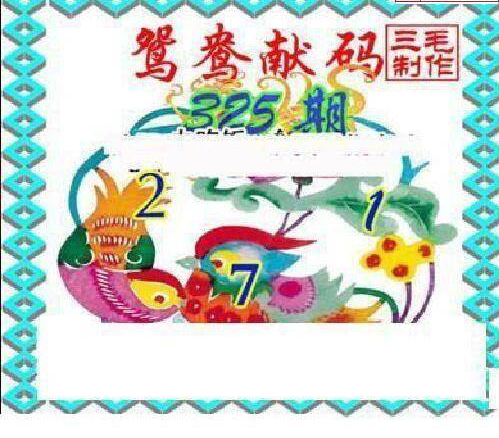 24325期: 三毛3D精品图谜