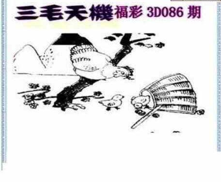 24086期: 三毛3D精品图谜