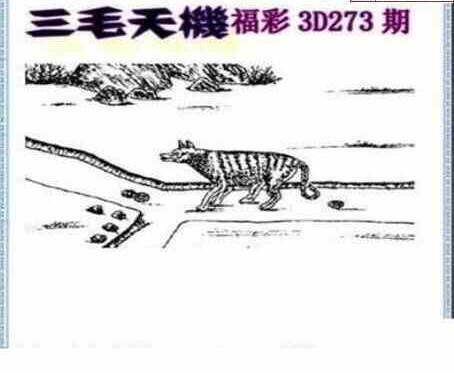 24273期: 三毛3D精品图谜