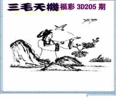 24205期: 三毛3D精品图谜