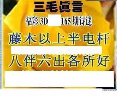 24165期: 三毛3D精品图谜