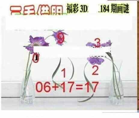 24184期: 三毛3D精品图谜