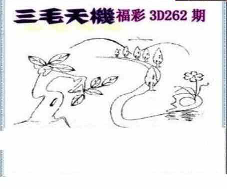 24262期: 三毛3D精品图谜