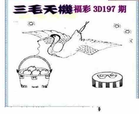 24197期: 三毛3D精品图谜