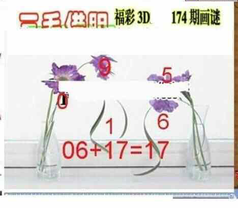 24174期: 三毛3D精品图谜