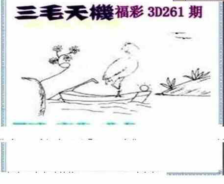 24262期: 三毛3D精品图谜