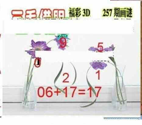 24257期: 三毛3D精品图谜