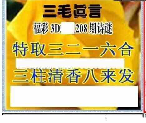 24208期: 三毛3D精品图谜