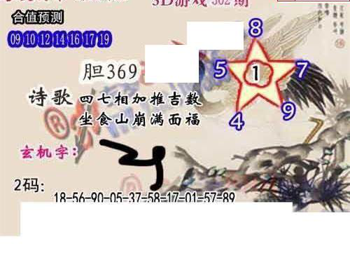 24302期: 白老3D杀码图版