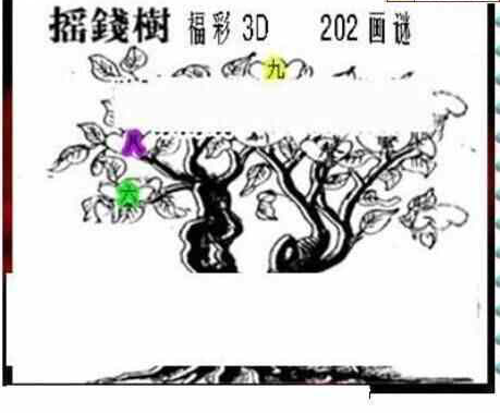 24202期: 三毛3D精品图谜