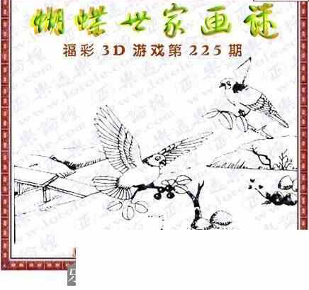 24225期: 3D蝴蝶世家蝴蝶彩图