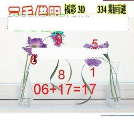 24334期: 三毛3D精品图谜