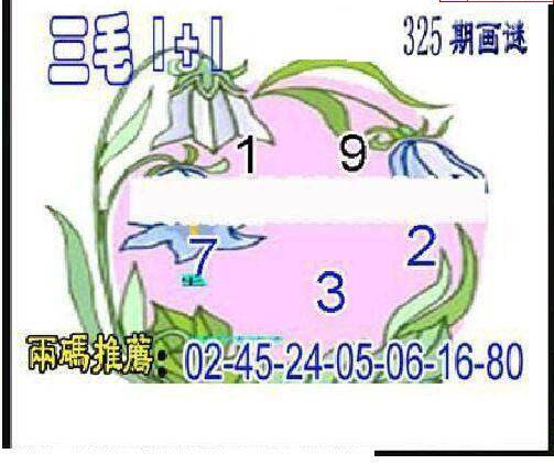 24325期: 三毛3D精品图谜