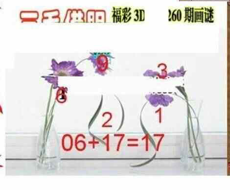 24260期: 三毛3D精品图谜