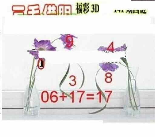 24141期: 三毛3D精品图谜