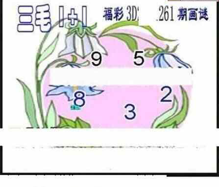 24262期: 三毛3D精品图谜