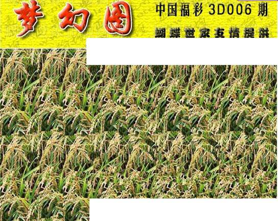 25006期: 3D蝴蝶世家蝴蝶彩图