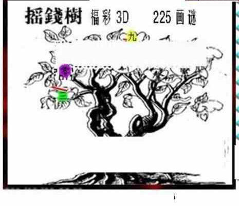 24225期: 三毛3D精品图谜