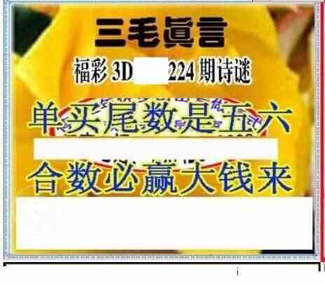 24224期: 三毛3D精品图谜