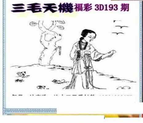 24193期: 三毛3D精品图谜