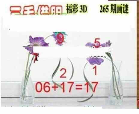 24265期: 三毛3D精品图谜