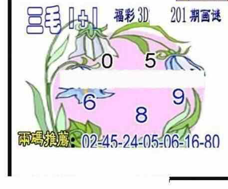 24201期: 三毛3D精品图谜