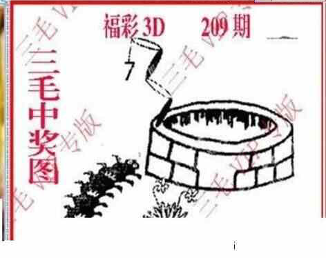 24209期: 三毛3D精品图谜