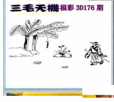 24176期: 三毛3D精品图谜