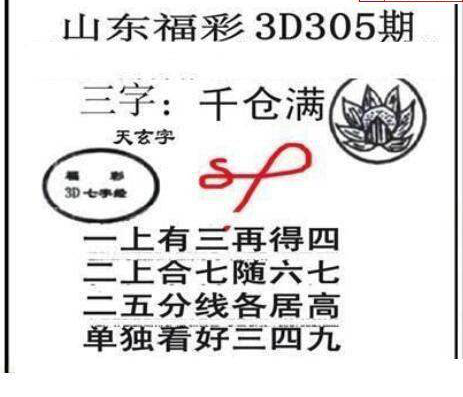 24305期: 三毛3D精品图谜