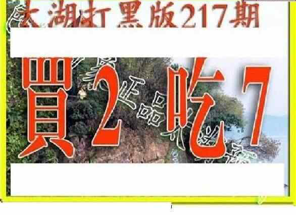 24217期: 太湖图福彩3D精品预测