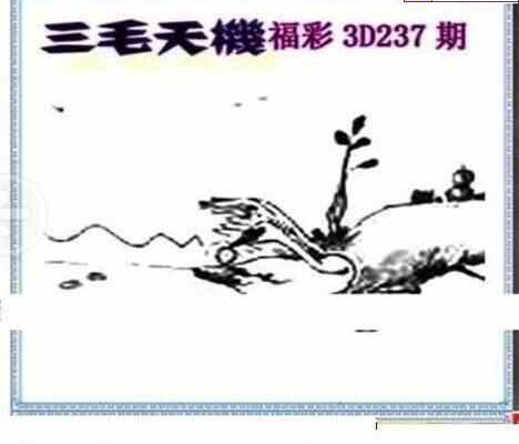 24237期: 三毛3D精品图谜