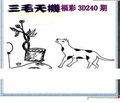 24240期: 三毛3D精品图谜