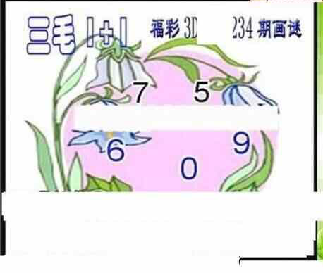 24234期: 三毛3D精品图谜