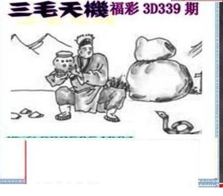 24339期: 三毛3D精品图谜