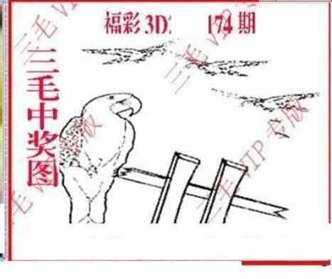 24174期: 三毛3D精品图谜