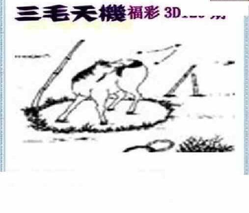 24129期: 三毛3D精品图谜