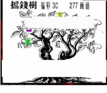 24277期: 三毛3D精品图谜