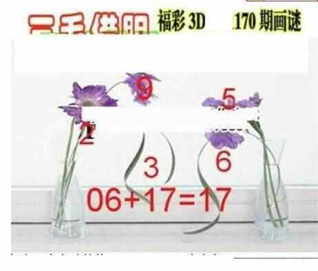 24170期: 三毛3D精品图谜