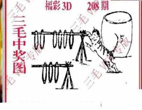 24208期: 三毛3D精品图谜