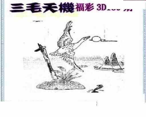 24139期: 三毛3D精品图谜