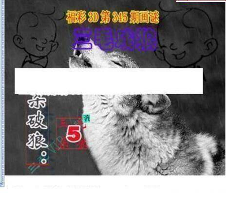 24345期: 三毛3D精品图谜