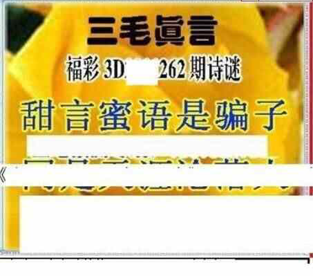 24262期: 三毛3D精品图谜