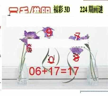 24224期: 三毛3D精品图谜