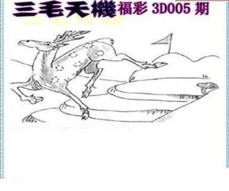 25005期: 三毛3D精品图谜