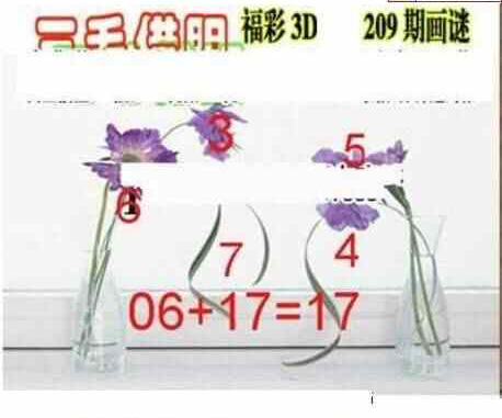 24209期: 三毛3D精品图谜